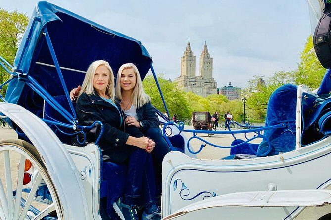 45 min Long VIP Central park carriage ride - Key points at a glance