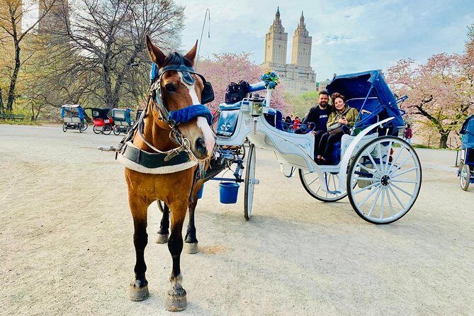 45 min Long VIP Central park carriage ride - Why a VIP Central Park Carriage Ride Can Be Good Value