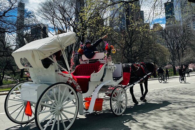 45 min Long VIP Central park carriage ride - Cherry Hill: The One Stop Built for Photos (and a Real Walk)