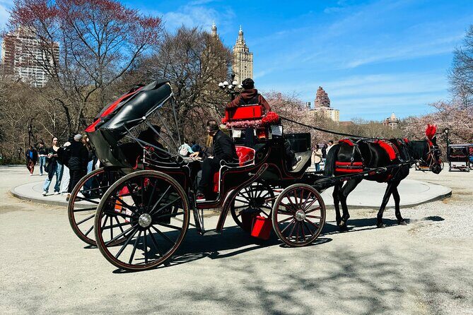 45 min Long VIP Central park carriage ride - Winter Comfort: Warm Blankets Make a Real Difference
