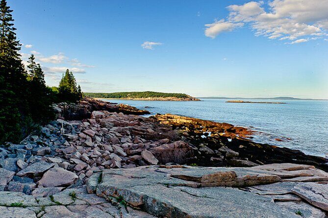 Acadia National Park & Boston 3-Day Tour from NYC | Kids 50% Off - Day 1 in Boston: Aquarium First, Then a Harbor View from the Water