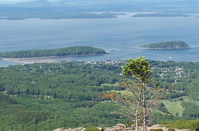 Acadia National Park & Boston 3-Day Tour from NYC | Kids 50% Off - Hotels, Food, and the Stuff You’ll Actually Feel Day to Day