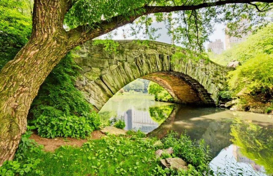 Best of Central Park: Top-Rated Pedicab Tour NYC - Why a Pedicab Beats a Sprint Through Central Park