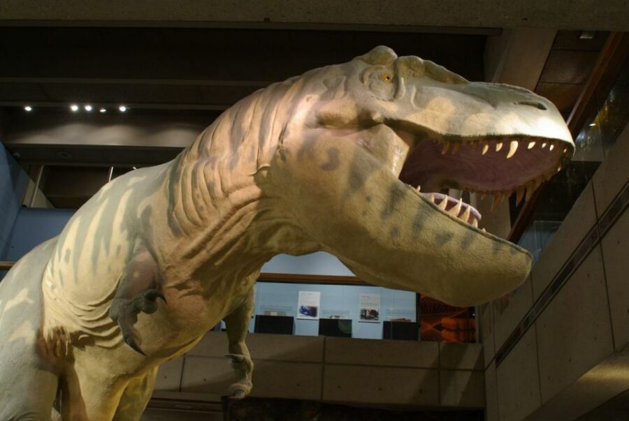 Boston CityPASS®: Save up to 46% at 4 Top Attractions - Choose your 2 extras: cruise, views, zoo, or Harvard’s natural history and archaeology pair