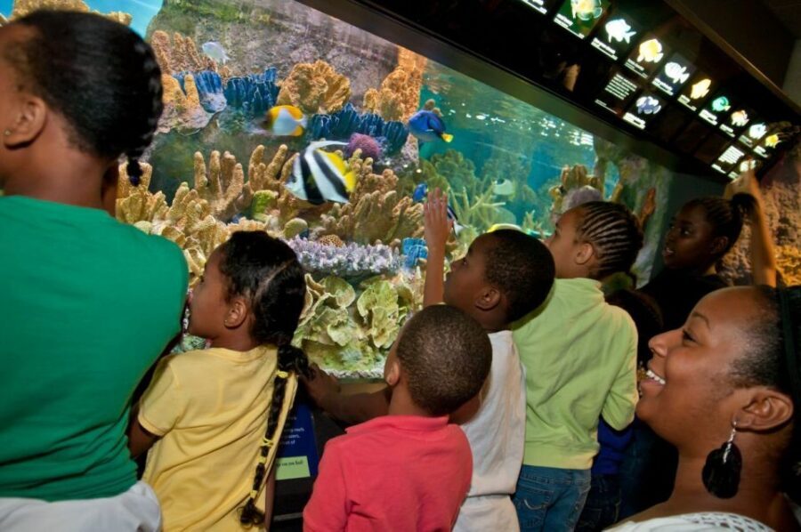 Boston CityPASS®: Save up to 46% at 4 Top Attractions - Sequencing over 9 days: start smart and avoid wasting the clock