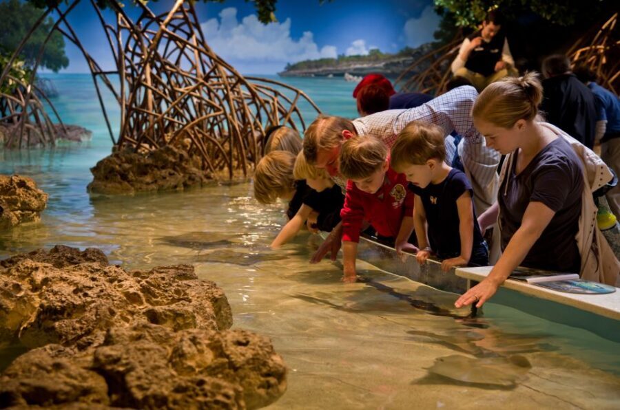 Boston CityPASS®: Save up to 46% at 4 Top Attractions - Using your mobile ticket: fast entry with a simple system