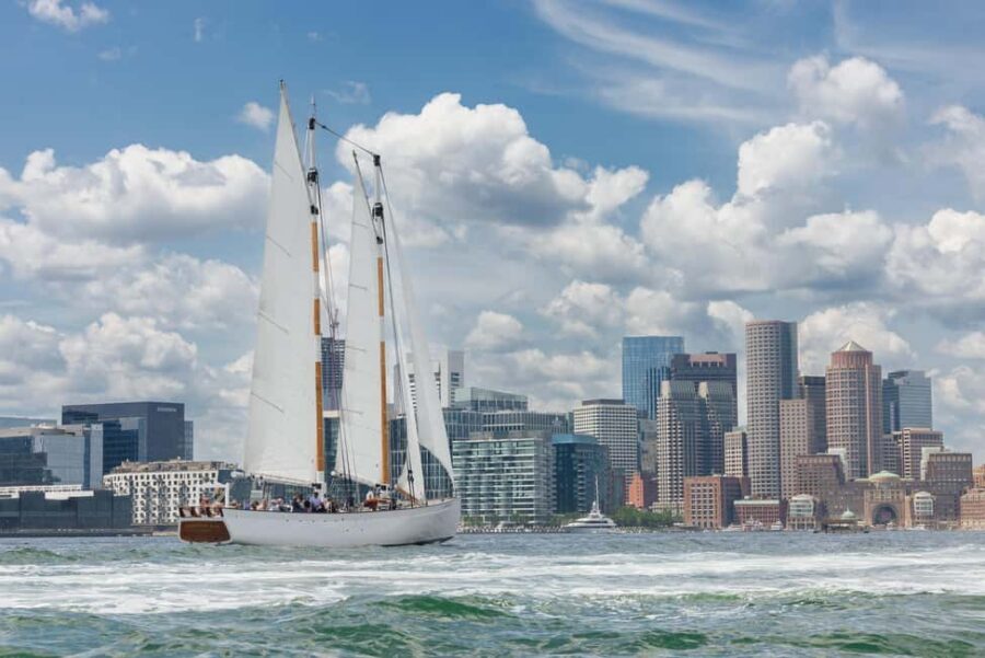 Boston: Downtown Harbor Sailing Cruise - Key highlights worth your time