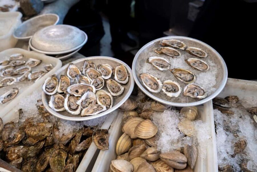 Boston: Guided Seafood Tasting and History Tour - Starting at South Boston Maritime Park: Where You Get Your Bearings