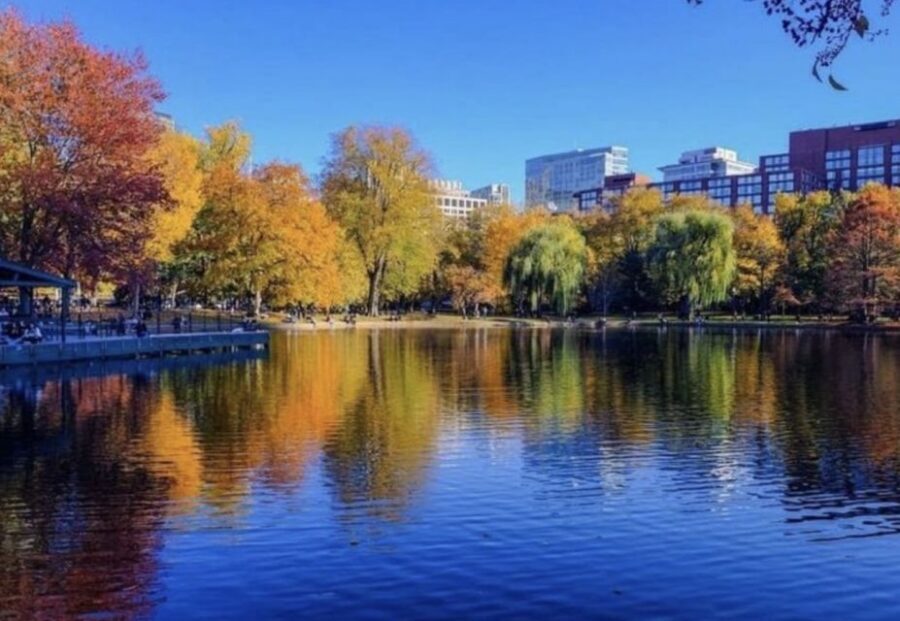 Boston Premium Driving Tour with Boat Cruise and Bunker Hill - Who this tour suits best (and who might want a different plan)