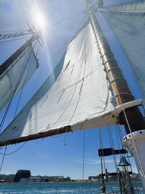 Boston: Tall Ship Harbor Sail - From Fan Pier to Full-Trim Sails: The 90-Minute Rhythm