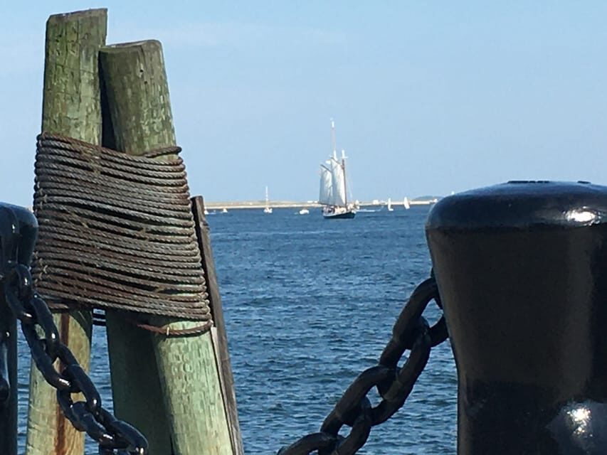 Boston: Tall Ship Harbor Sail - Who This Tall Ship Sail Fits Best