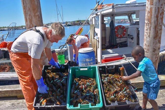 Boston to Kennebunkport with Optional Lobster Tour - Key Points Before You Go