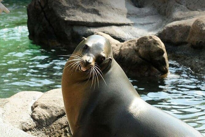 Bronx Zoo Admission Ticket - Butterfly Garden: a quick calm moment that resets your whole day