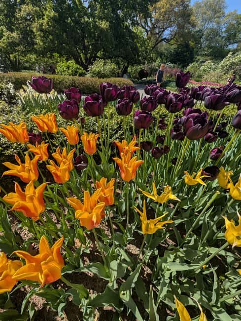 Central Park 5 Star Walking Tour led by Manhattan residents! - Should you book this Central Park walking tour?