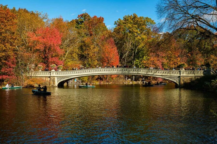 Central Park Guided Bike Tour - Who this Central Park bike tour fits best