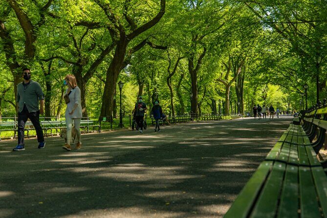 Central Park Guided Tours Pedicab - Guides, pace, and what to watch for during photo stops