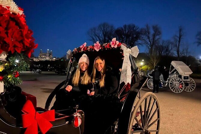 Central Park Moonlight Tour with Photo (45 min) ~ Skip the line - Night Ride Reality Check: 45 Minutes Sounds Short, but It’s a Full Park Taste