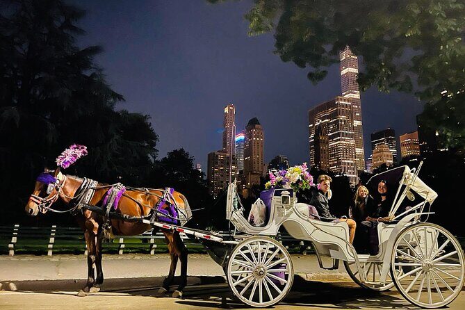 Central Park Moonlight Tour with Photo (45 min) ~ Skip the line - Getting to Top Hat NY at Central Park South (Where People Often Get Stuck)