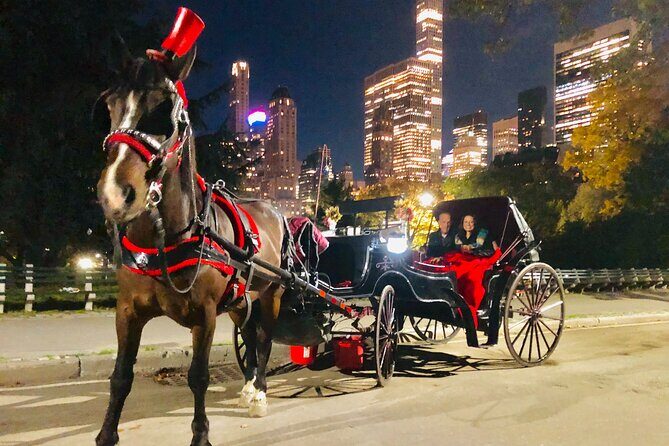 Central Park Moonlight Tour with Photo (45 min) ~ Skip the line - Price and Value: When $199.99 per Group Makes Sense