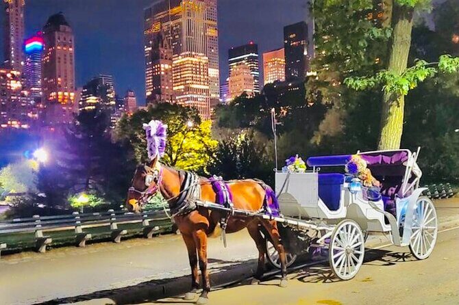 Central Park Moonlight Tour with Photo (45 min) ~ Skip the line - Who This Central Park Moonlight Ride Fits Best