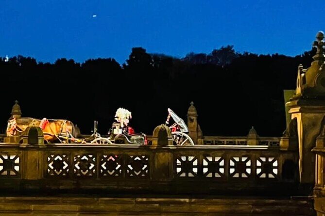 Central Park Moonlight Tour with Photo (45 min) ~ Skip the line - Should You Book This Moonlight Carriage Tour?