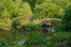 Central Park Movie Locations Pedicab Tour - One hour, many scenes: how the route feels in real life