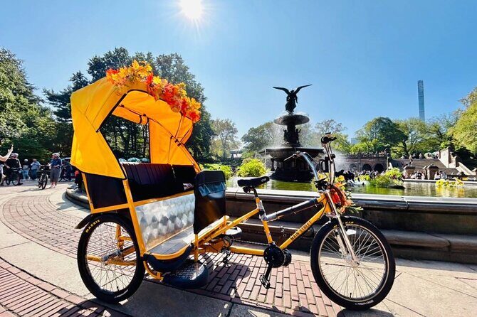 Central Park Movie Locations Pedicab Tour - Sheep Meadow and the Elf bridge moment