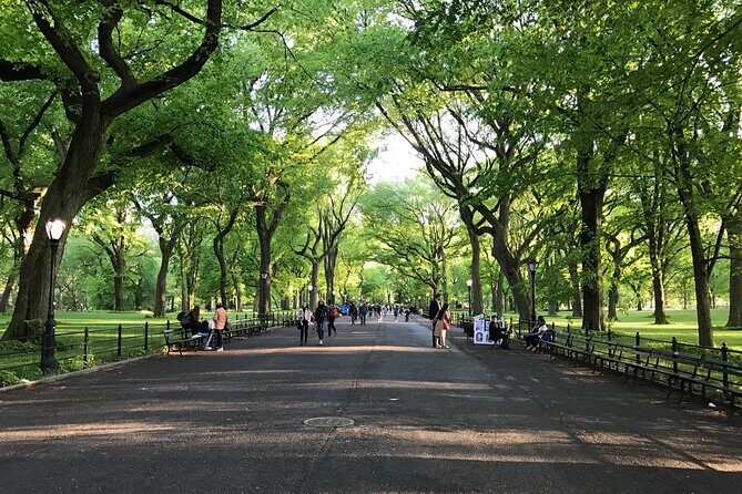 First Class Central Park Tour – Iconic Views & VIP Photo Moments - Strawberry Fields: calm, reflective, and loaded with meaning