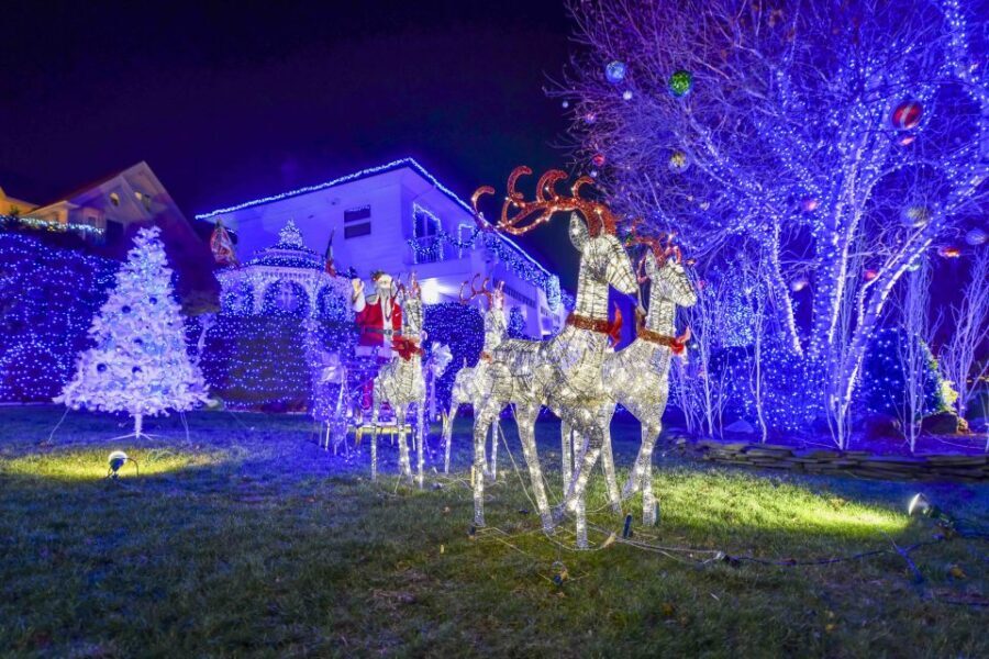 From Manhattan: 4-Hour Christmas Lights Luxury Bus Tour - Tour pacing and group size: what you can’t fully control