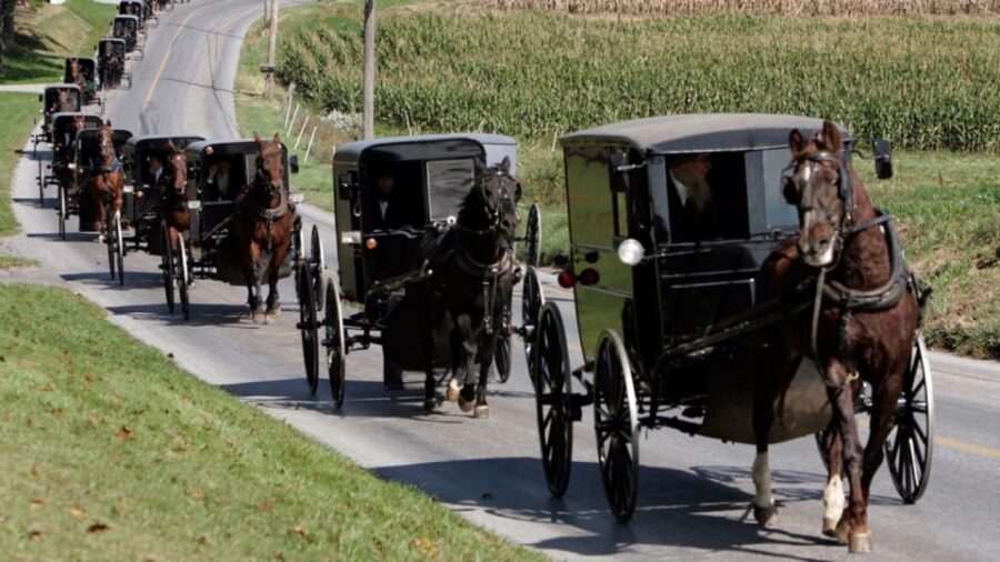 From New York City: Philadelphia & Amish Community Day Trip - Key things that make this day trip work