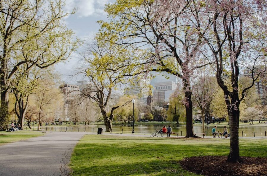 From New York: Niagara Falls and Washington DC 3-Day Trip - What you actually get for $449: admissions, guide, hotel, and smart add-ons