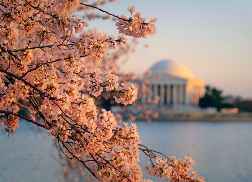 From NYC: Niagara Falls, Washington DC and Boston 4-Day Trip - Hotels, guides, and the part people don’t talk about enough: pacing