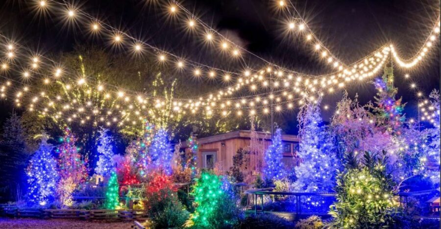 Longwood Gardens Holiday Lights Tour from Philadelphia - Quick Highlights You’ll Feel Immediately