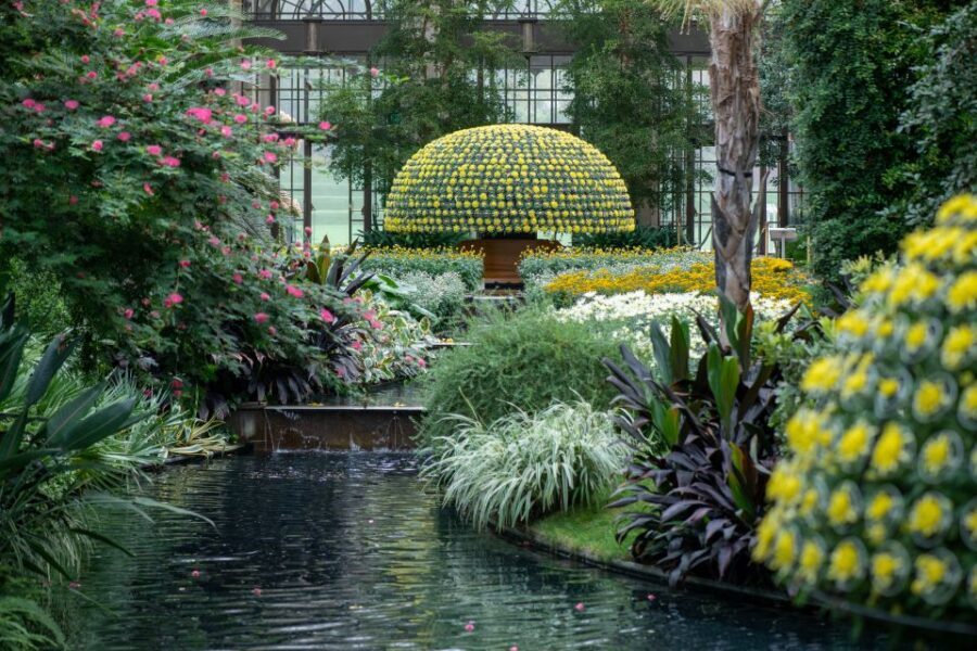 Longwood Gardens Holiday Lights Tour from Philadelphia - The Meeting Point: Start Where It’s Easy
