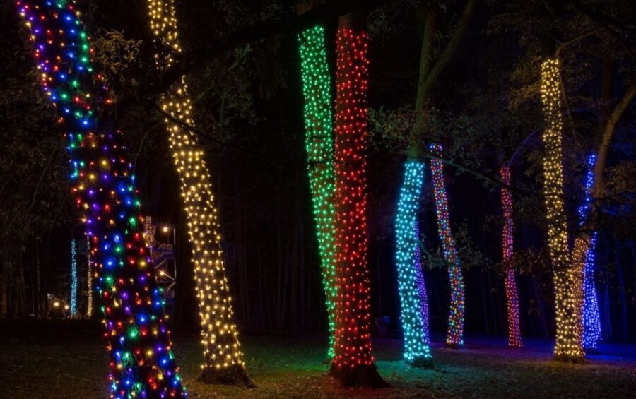 Longwood Gardens Holiday Lights Tour from Philadelphia - How the Holiday Lights Tour Works From Philadelphia