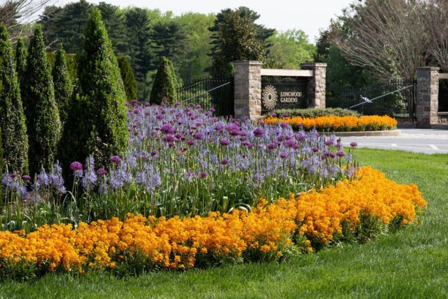 Longwood Gardens Holiday Lights Tour from Philadelphia - Who This Tour Fits Best