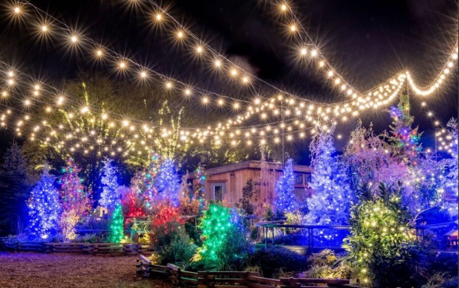 Longwood Gardens Holiday Lights Tour from Philadelphia - The Van Ride: Comfortable, Organized, and Actually Relaxing