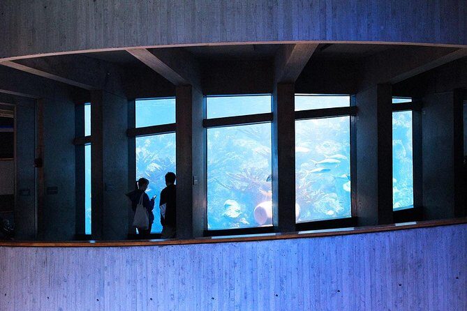 New England Aquarium Admission Ticket in Boston - Key highlights you’ll feel in the first 10 minutes