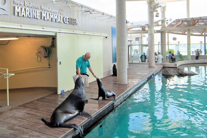 New England Aquarium Admission Ticket in Boston - Starting at the front plaza: seals, a coastal scene, and an instant wow