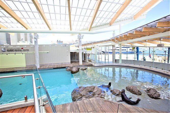 New England Aquarium Admission Ticket in Boston - Penguin Colony timing and the Jan–Feb 2026 exhibit move