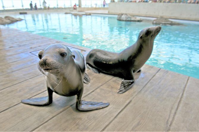 New England Aquarium Admission Ticket in Boston - How to avoid the crowds and stay in control of your pace