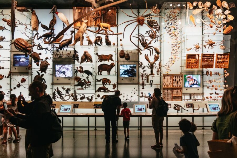 New York City: American Museum of Natural History Ticket - Key things to know before you go
