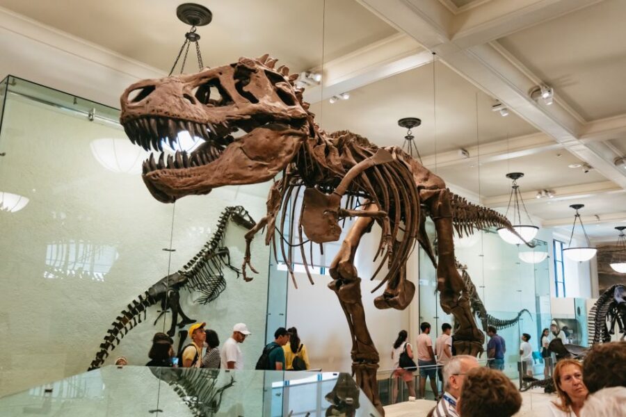 New York City: American Museum of Natural History Ticket - American Museum of Natural History: what your all-day ticket really buys