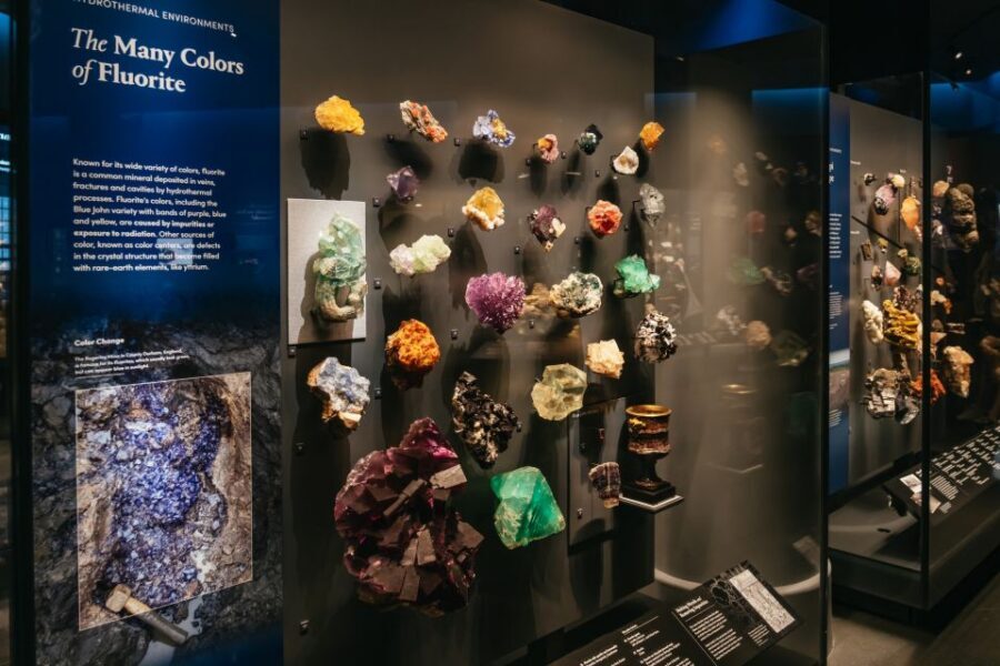 New York City: American Museum of Natural History Ticket - Ticketed exhibitions with timed entry: pick what matches your day