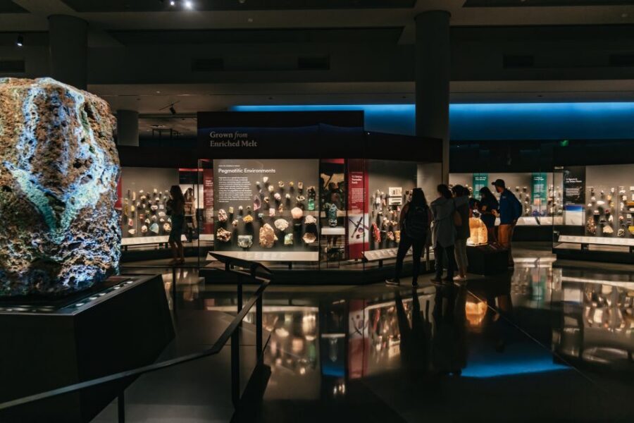 New York City: American Museum of Natural History Ticket - The Explorer app and Wi-Fi: navigation that saves your sanity