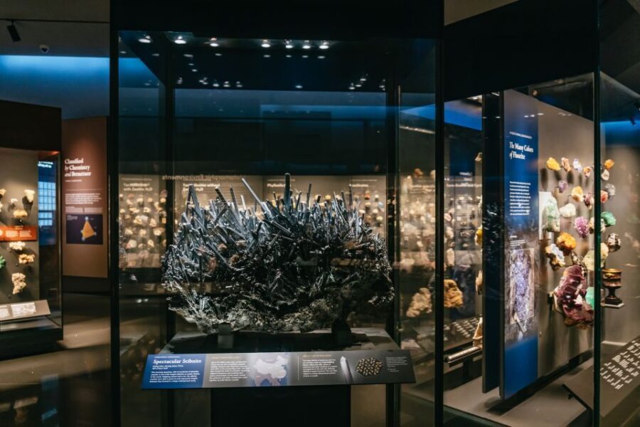 New York City: American Museum of Natural History Ticket - Logistics that matter: luggage limits, lockers, and entry timing