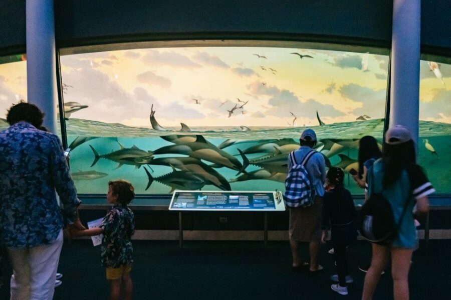New York City: American Museum of Natural History Ticket - Price and value check for families and adults