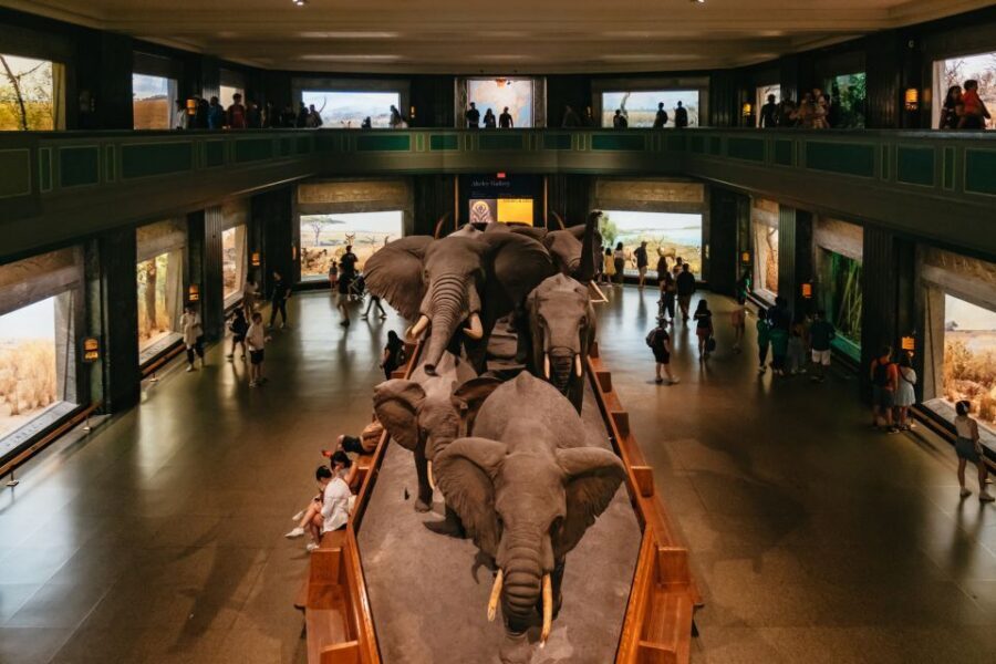 New York City: American Museum of Natural History Ticket - Rose Center and the Richard Gilder Center: your science anchor