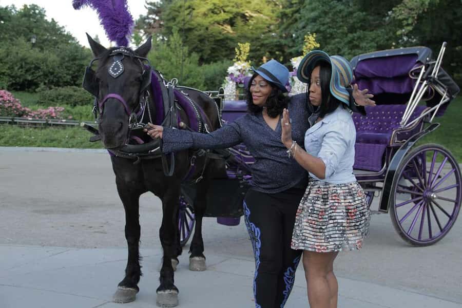 New York City: Central Park Horse Carriage 25-min Ride - Who This Ride Is Best For (and Who Might Prefer Walking)