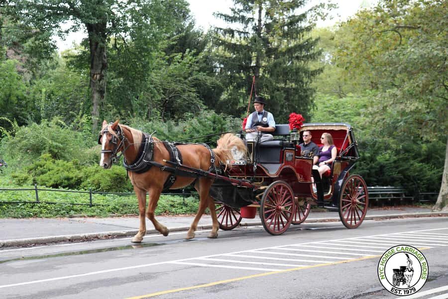 New York City: Central Park Horse Carriage 25-min Ride - Central Park by Horse Carriage: What 25 Minutes Really Gives You